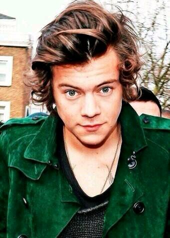 hey I am harry I am a nice guy loves to sing and oh yeah I am a wolf rp1 with lou rp2 with liam rp3 with niall loves them a lot rp bi single mrp