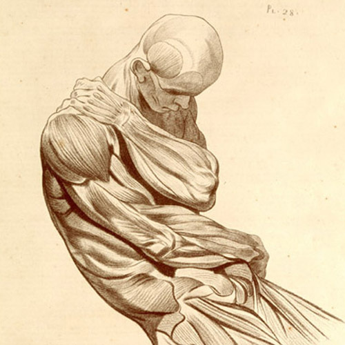 examiningroom's profile picture. Old school "retired" medical blogger, and practicing primary care doctor.