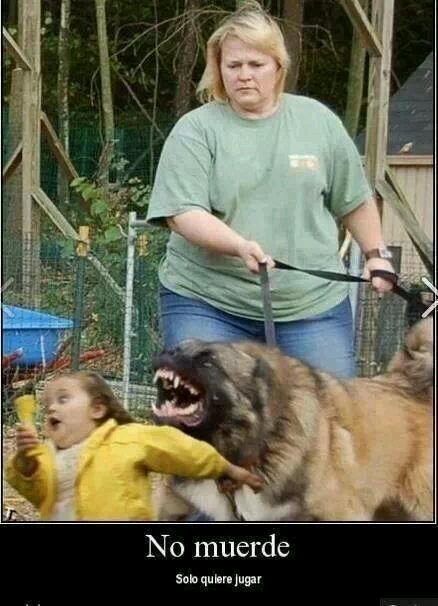 97Escribiendo's profile picture. Pues nada aqui mientras calada y calada twit y twit..