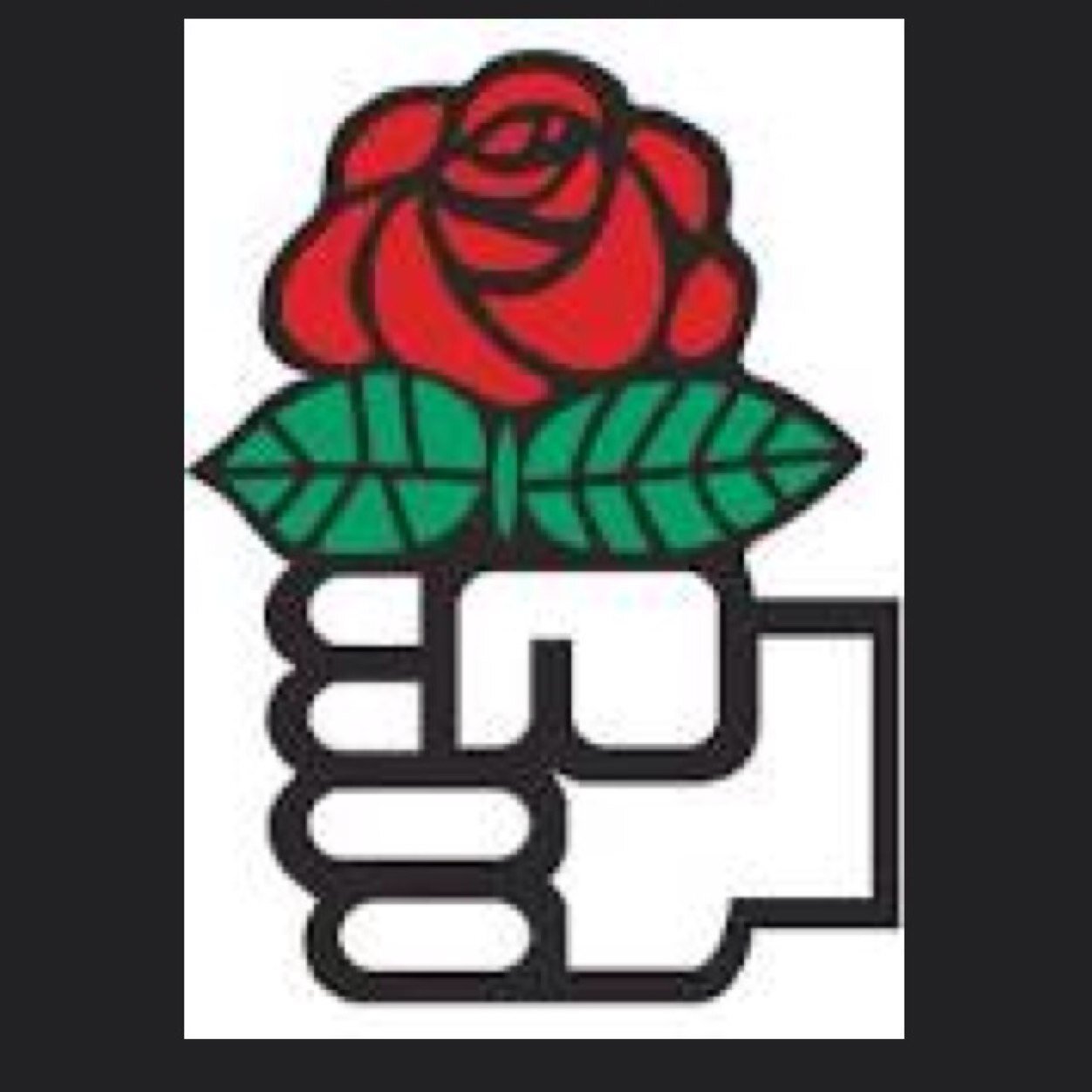 Irish-American, Democratic Socialist, Socialist Party USA. Idols: Ché Guevara, Thomas Sankara, Nelson Mandela, Patrice Lumumba, Kwame Nkrumah