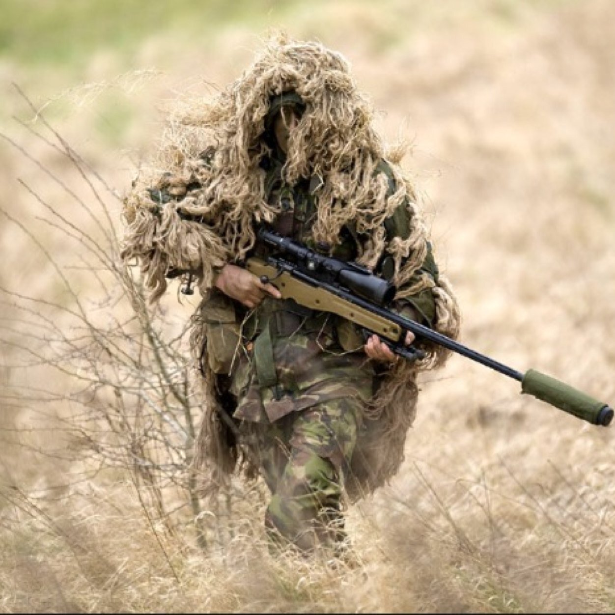 blackgate101's profile picture. Your daily airsoft and xbox gamming reviews