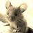 dmuis's profile image