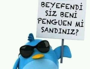 cdrh1905's profile picture. 