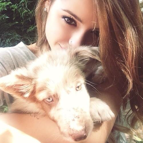 Kiss me under the apple tree.
