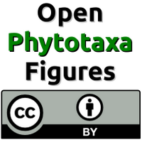 Phytotaxa Figures (@phytofigs) 's Twitter Profile