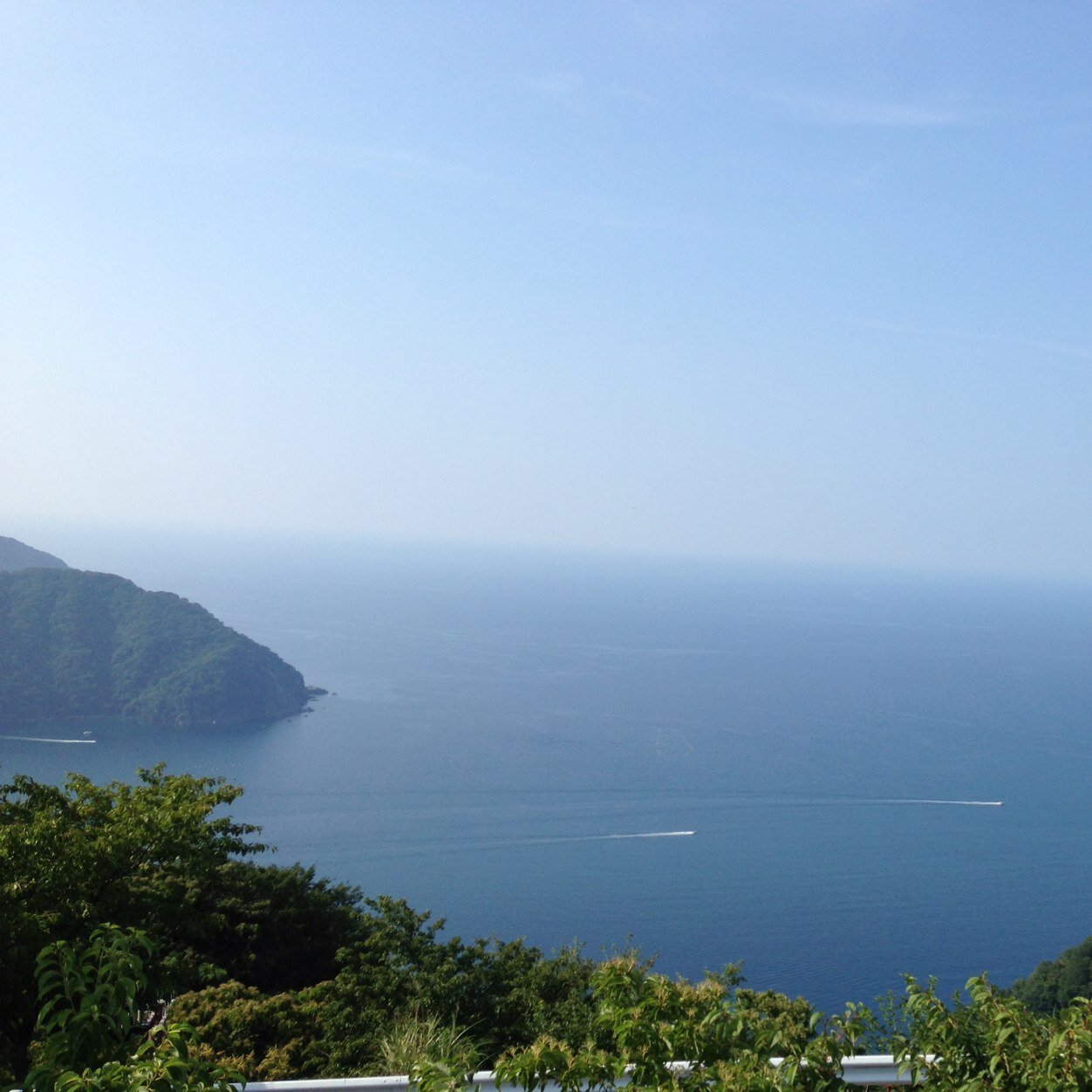 社会人7年目+α。フォローしても何もええことないで。