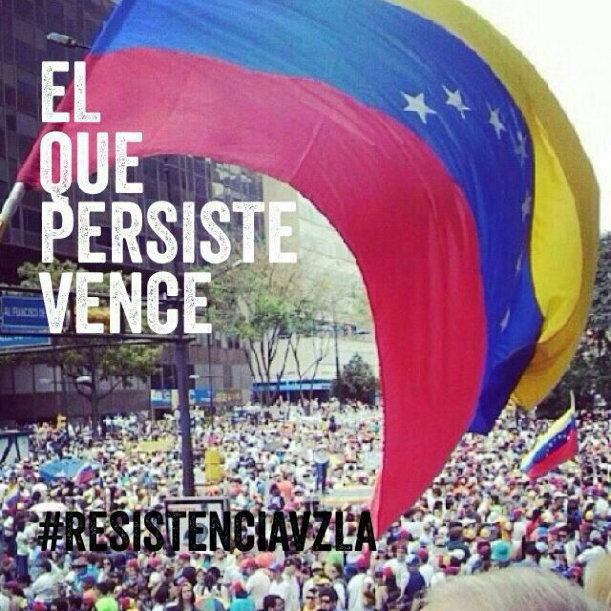 caroldorotea23's profile picture. 