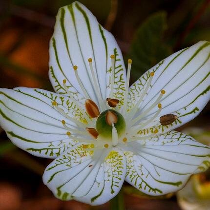 bet_ter_life's profile picture. The better life