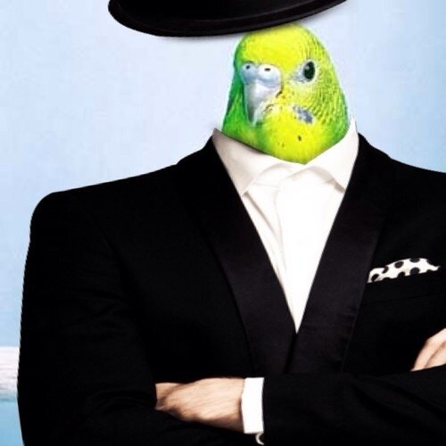 okayuurei's profile picture. 非モテが恋愛に立ち向かう為の情報を発信 ■ 学生時代拗らせて非モテとして生きる→一念発起し叩き上げで女性修行→最愛の相手を見つけ幸せな日々