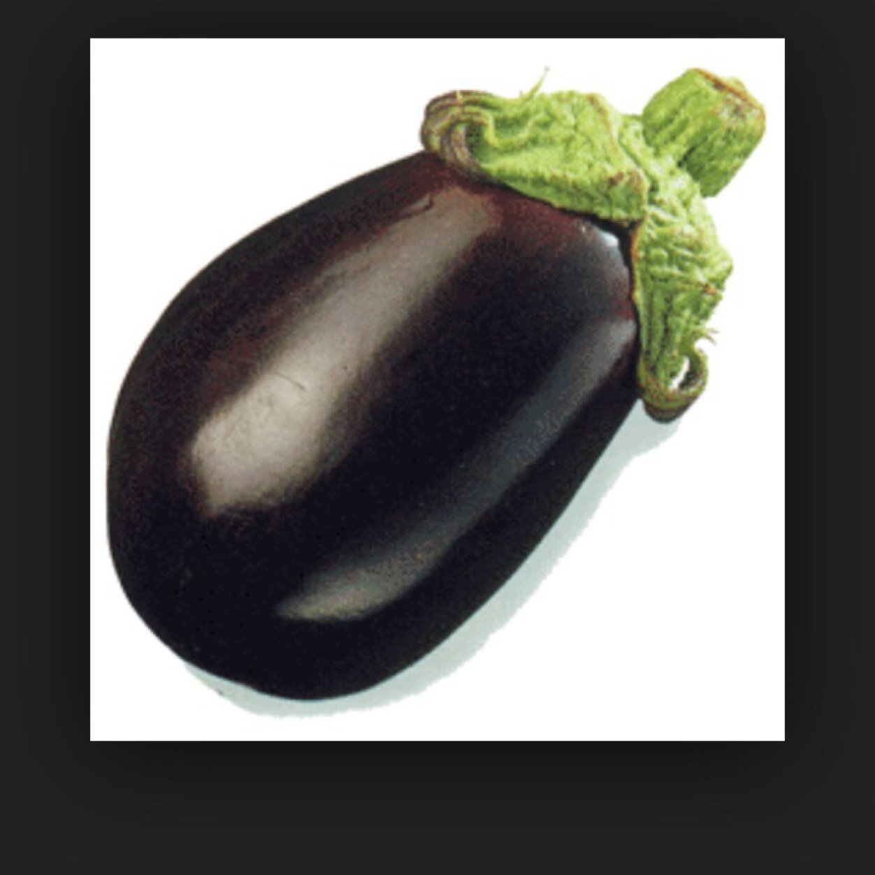 nasubibutabara's profile picture. Lubuk Buntar🐉. Alorpongus🐉. 絢爛SS🐉.七彩藍底🐉. アスン氏過背🐉. 名もなき藍底🐉.シルバー🐉. スネへ9🐍. ポリプ9🐍. ダトニオ🐯等々 その他多数🐠 水換えのたびに洪水発生°(ಗдಗ。)°.