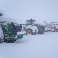 Jeff Ferguson (@fergs14) 's Twitter Profile