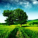 Xavier Valero - @XavierValero3 - Twitter