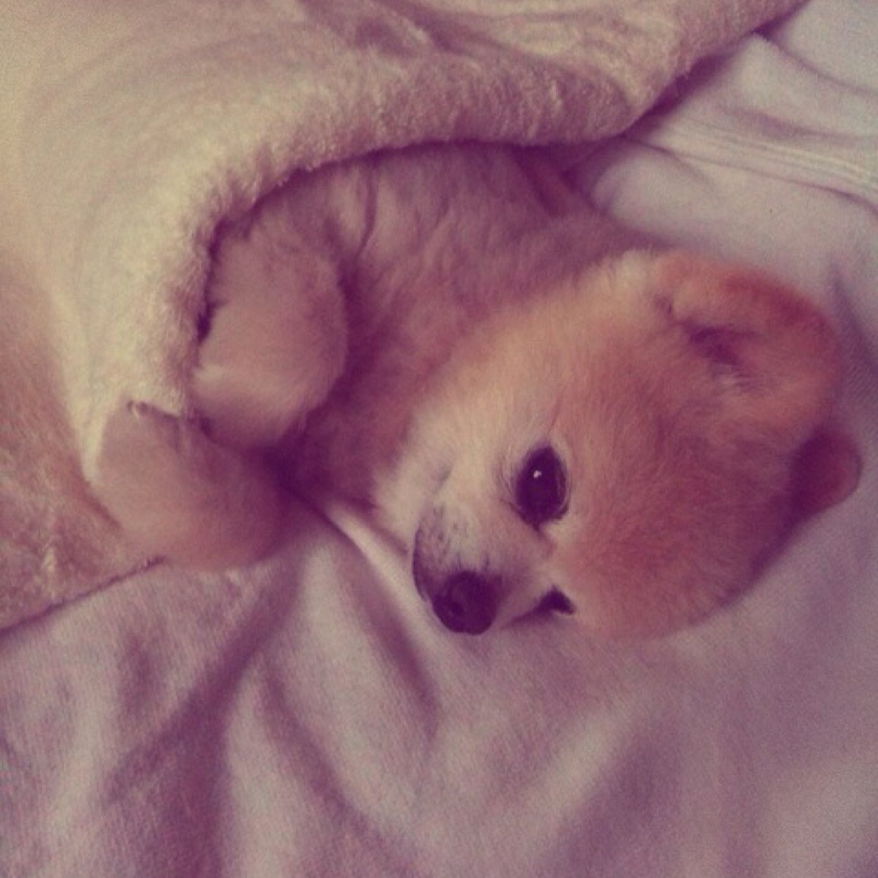 sleeeeeping__ Profile Picture