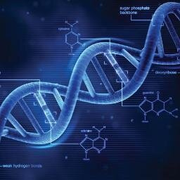 Synthetic Biology Club at UCF