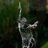 Bahiyah654's profile image