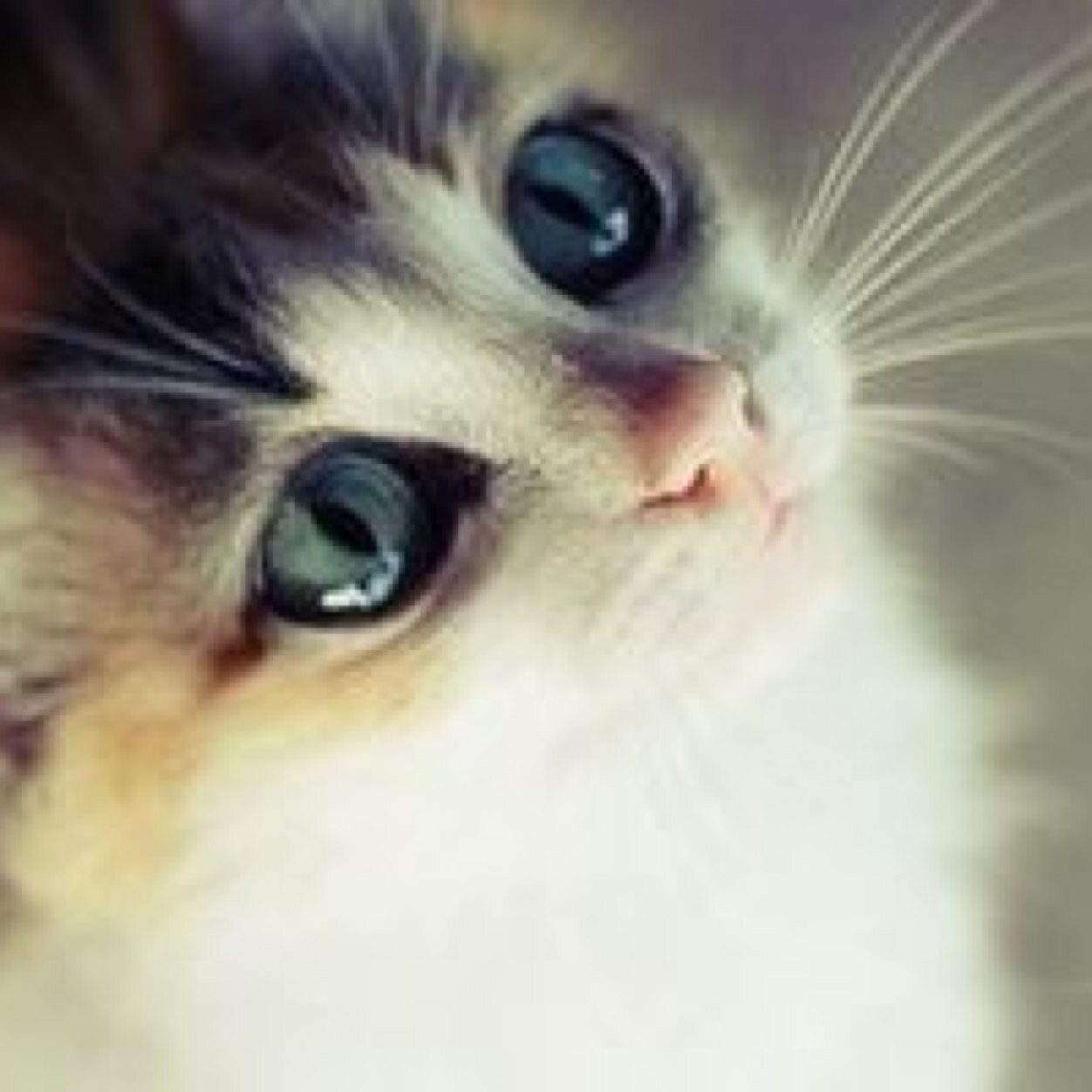 7Yukapo's profile picture. 