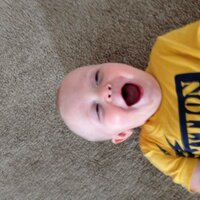 Stephen Ryan (@stephenryanlaw) 's Twitter Profile