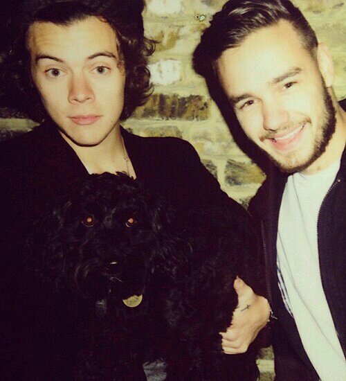 FOLLOW @harrydasexgodd SHE FOLLOWS EVERYONE BACK!