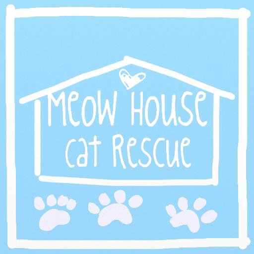 We are a small, nonprofit, foster-based cat rescue in Raleigh, NC. Check out our website, Instagram or FB page to donate, volunteer or see adoptable kitties! ❤️