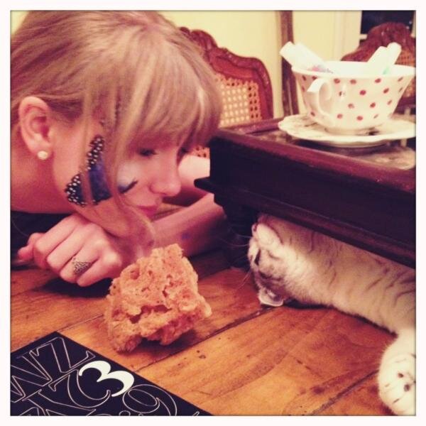 Taylor Swift, youtube, books.