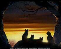Four Prophecies, One Cat.. Clans: BrindleClan, RedClan, TornadoClan, and RubyClan Leaders: DaisyStar(BC), BlackStar(RC), SandStar(TC), and BlueSpot(RC).