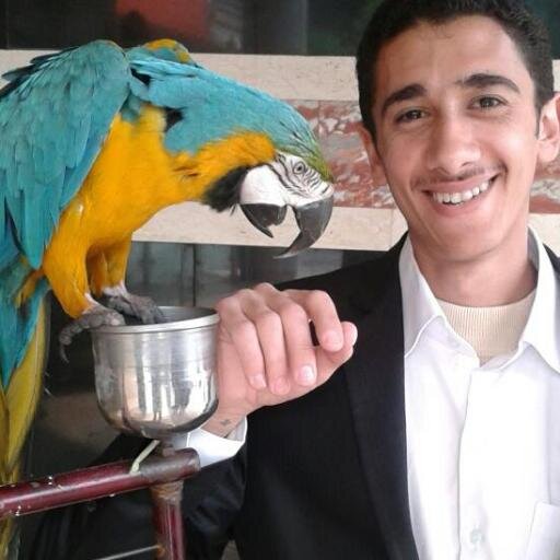 سر السعادة في 