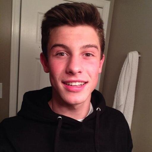 please follow @fxck_me_mendes ask for a follow back!(:
