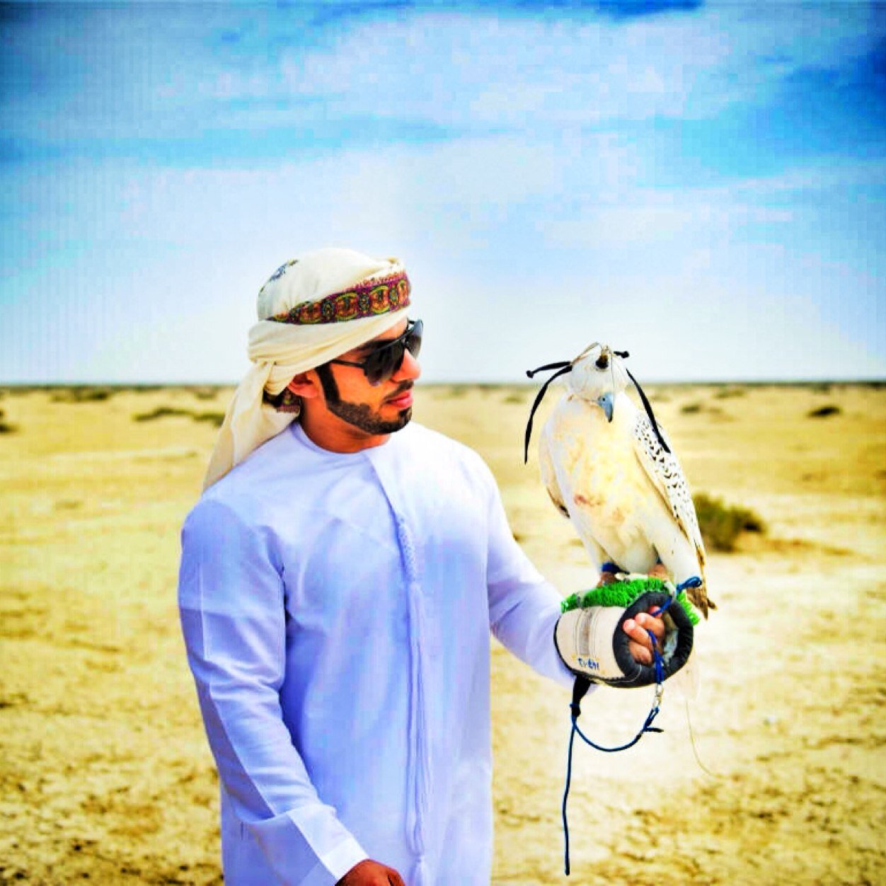 __ALFALASI__'s profile picture. 