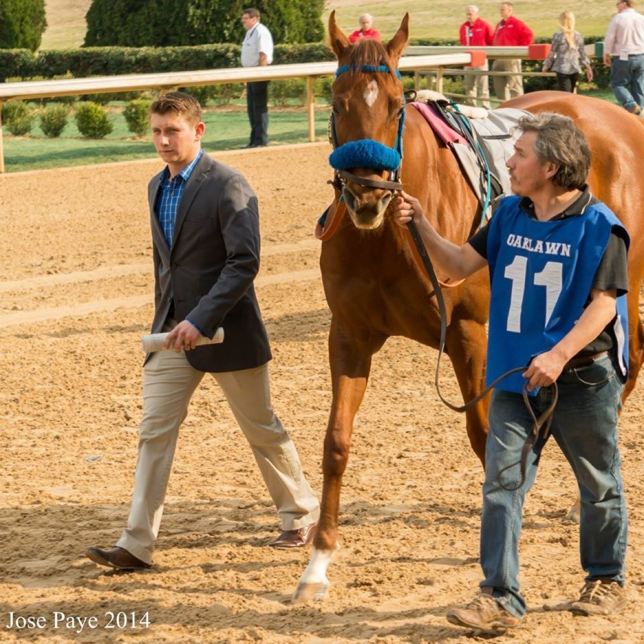 Thoroughbred racehorse trainer currently based at Prairie Meadows Race Track | Dedicated to the pursuit of excellence and the thrill of victory |