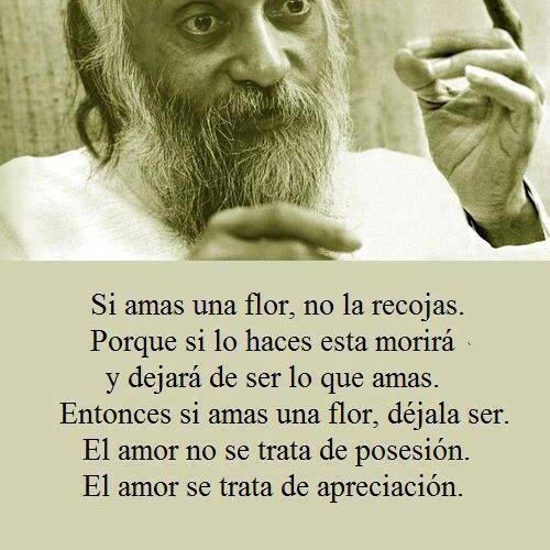 Accion Poetica Av On Twitter Buscas Un Amor De Perfeccion Frases Asi Entonces Sigue A Soloreflexiones