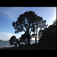 JeannEmmanuelleHUTIN (@jem_hutin) 's Twitter Profile Photo JeannEmmanuelleHUTIN (@jem_hutin) 's Twitter Profile Photo