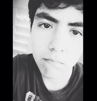 No es que sea solitario, es solo que conozco la estupidez humana... y no me quiero contagiar.