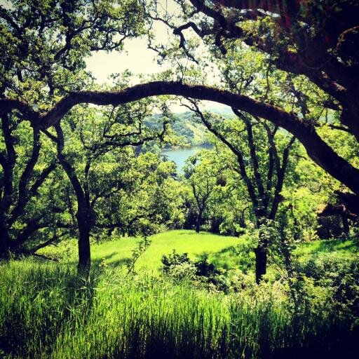 N0WInspire's profile picture. Seize the DAY