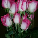 Paris Black - @Coolbabe2435 - Twitter