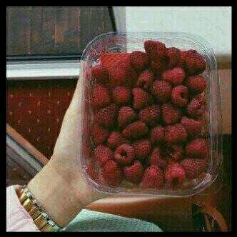 ‏‏‏‏مايلزمنيش افسرلك نيتي إذا تفكيرك ترللي.