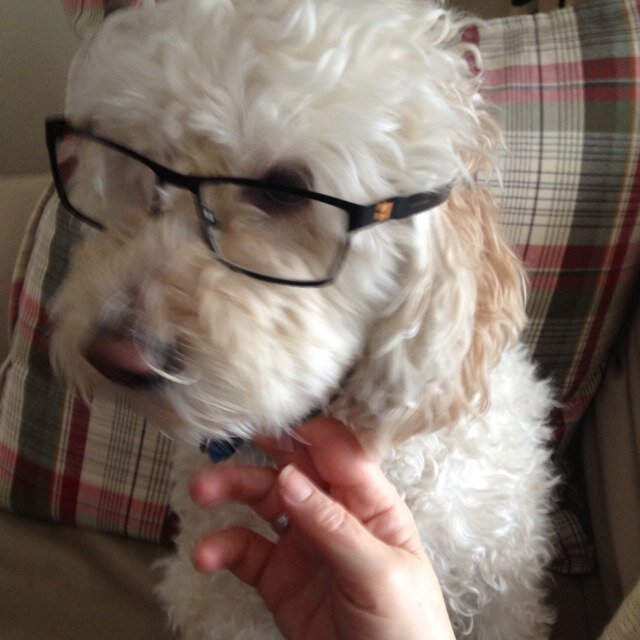 Writer Thinker Drinker
