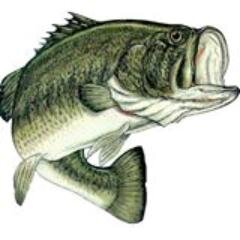 I am a US Army Veteran, started a Fishing Tackle & Outdoor Gear Business in 2008. I sell on,  eBay id : uncleraysfishing, C/L, Flea Markets in the W/Mass area.