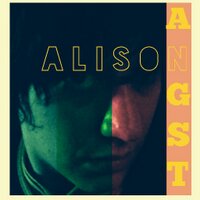 Alison Angst (@alisonangst) 's Twitter Profile