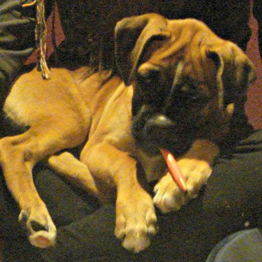 pucela95's profile picture. Especializándome en el Marketing Digital y todo lo que le rodea. 💜💜 Pucela. K