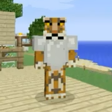 I am Ricopixels fan because he makes such funny minecraft youtube videos on cactus island! I wanna encourage him to make more!