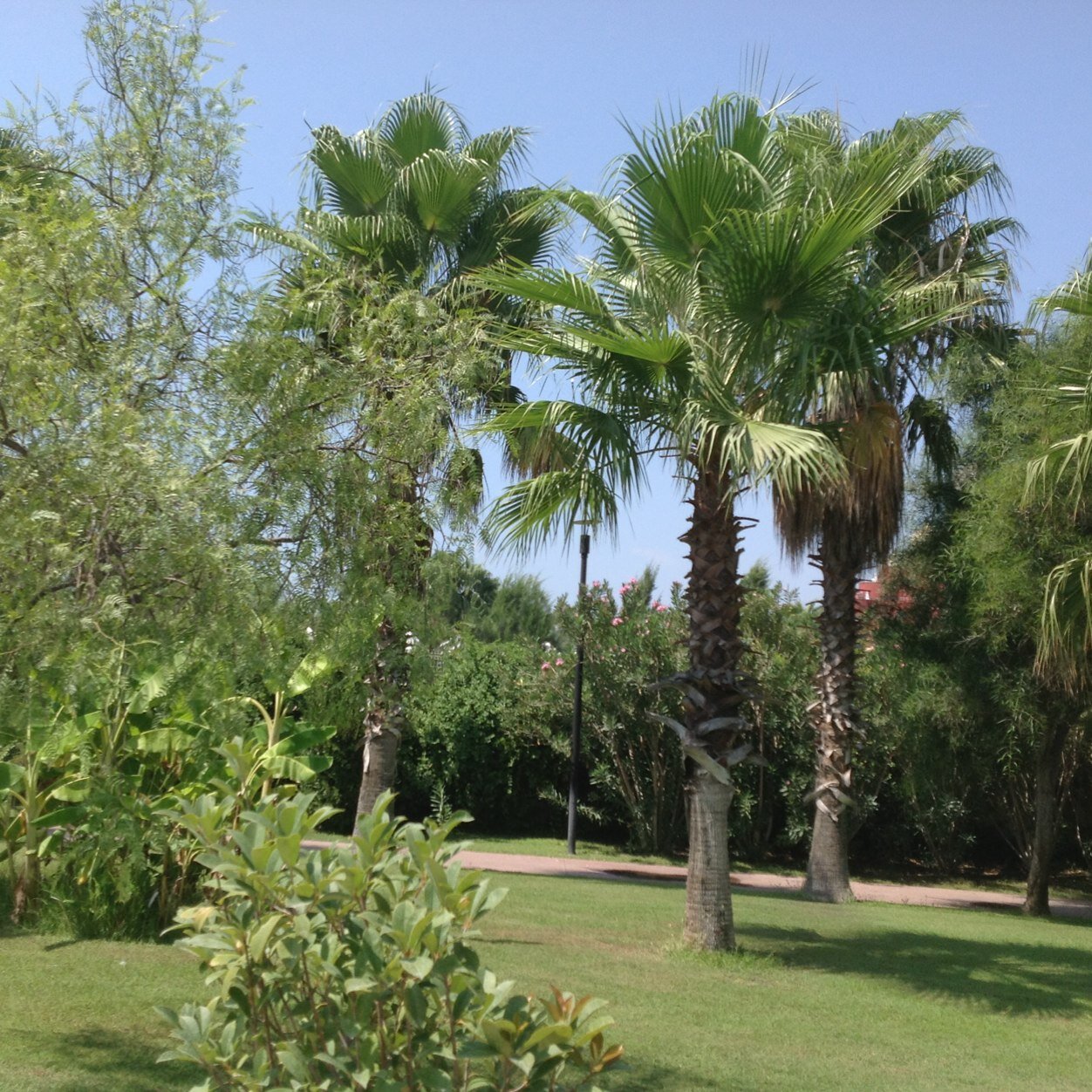 koofwboy's profile picture. 