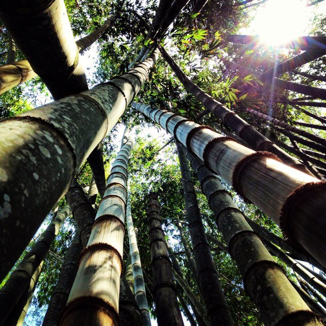 JuaneCruz's profile picture. 