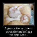 anyeli miranda - @AnyeliNatalith - Twitter