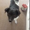 pamela ormond - @OrmondPamela - Twitter