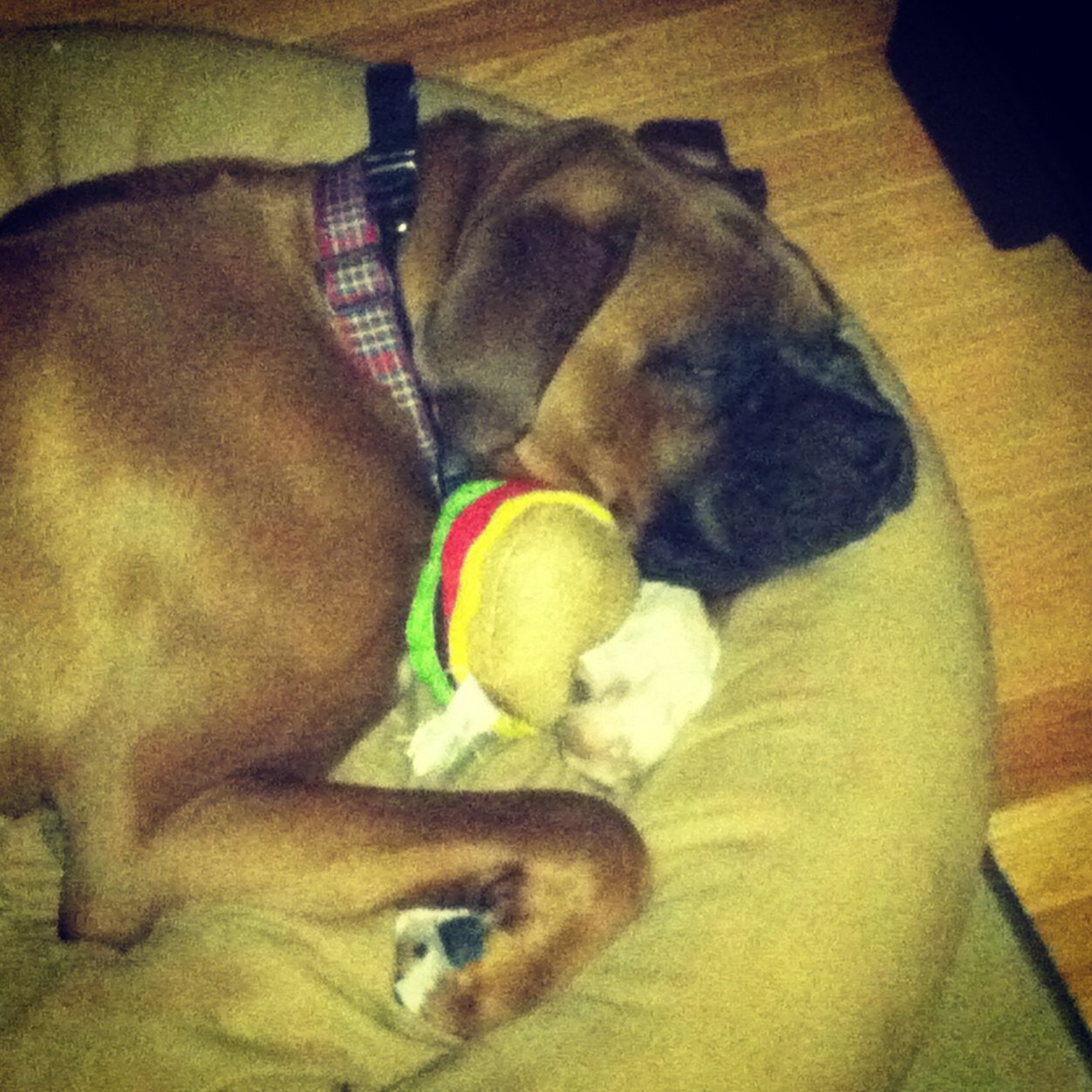 MRSKGALLO's profile picture. Soy profe de espanol en Norwood!