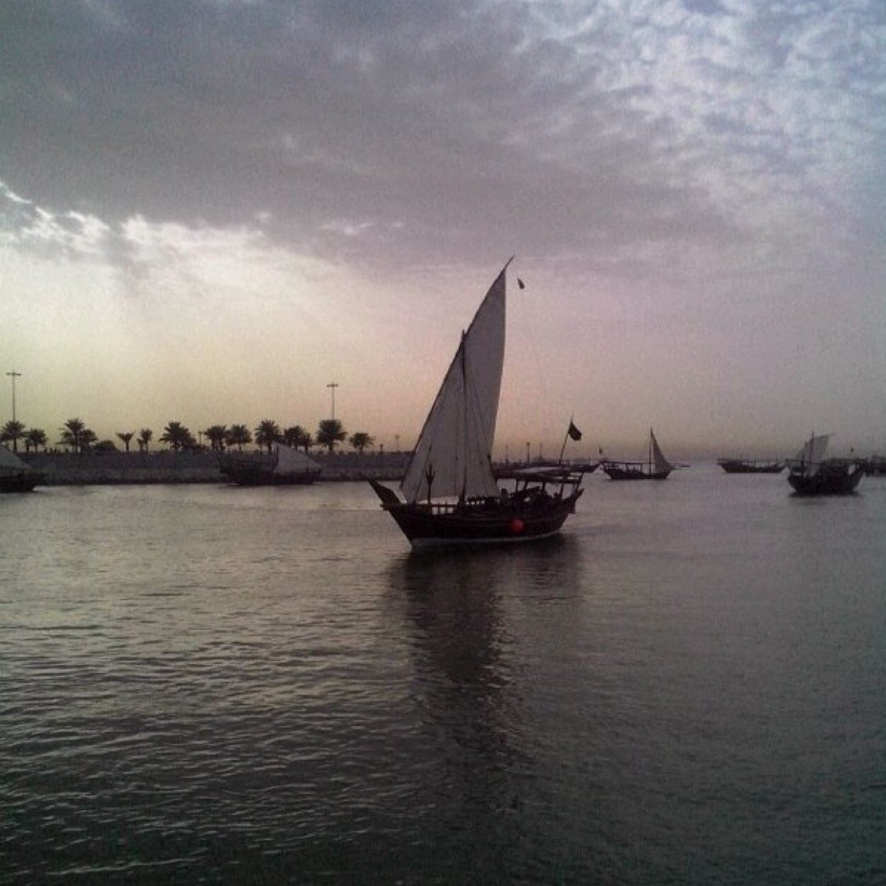 nect1010's profile picture. 