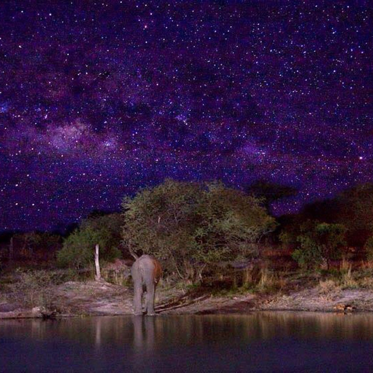 Gitdismoney's profile picture. Entrepreneur.