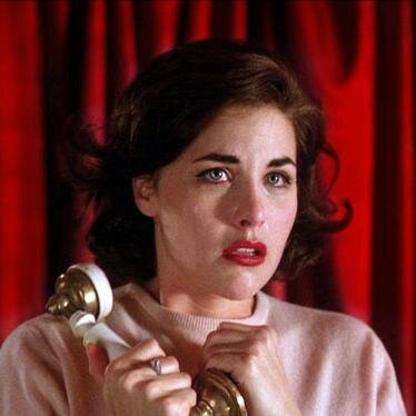 danidanida's profile picture. part time cat