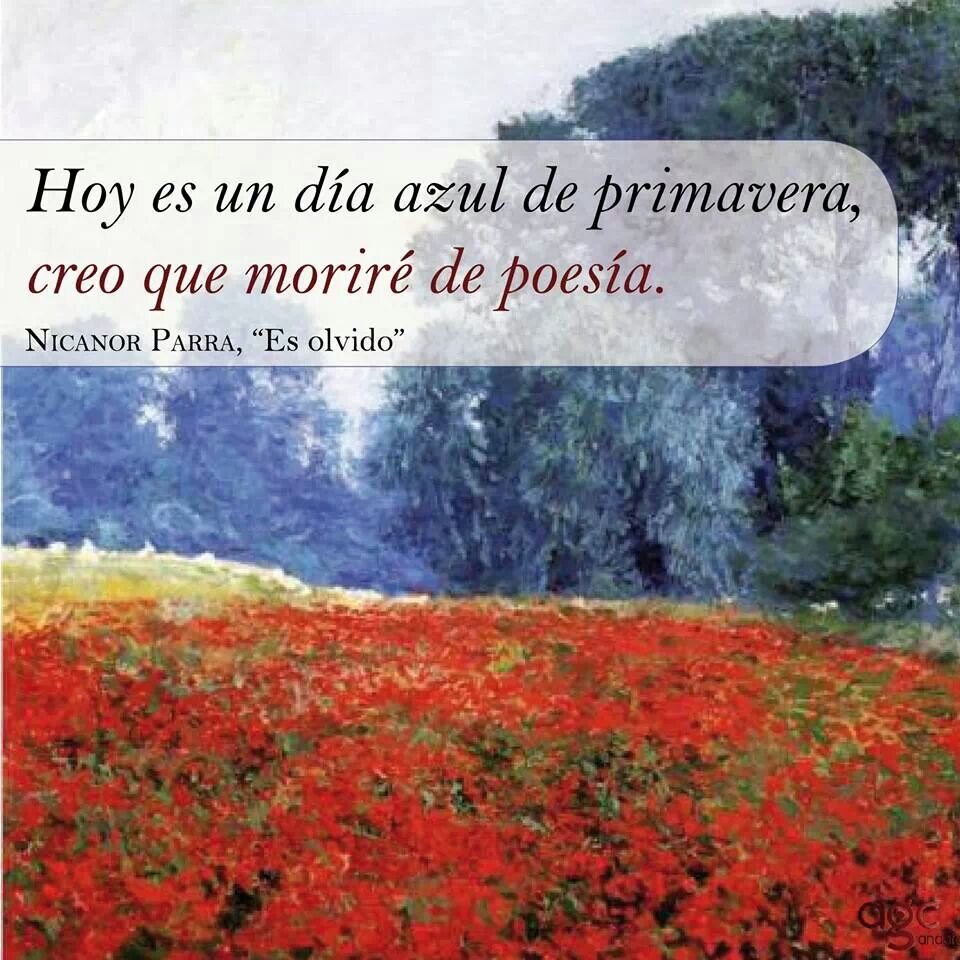 RandyAriza's profile picture. Ingeniero Industrial