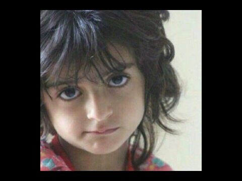 مافيش حاقه